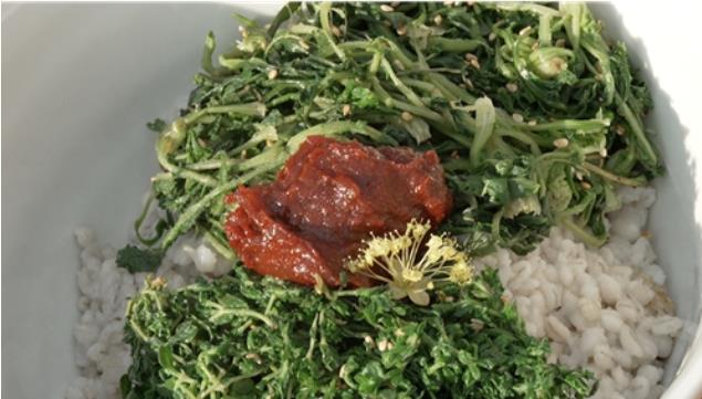 고추장 올린 한국인의 밥상 산수유꽃보리비빔밥
