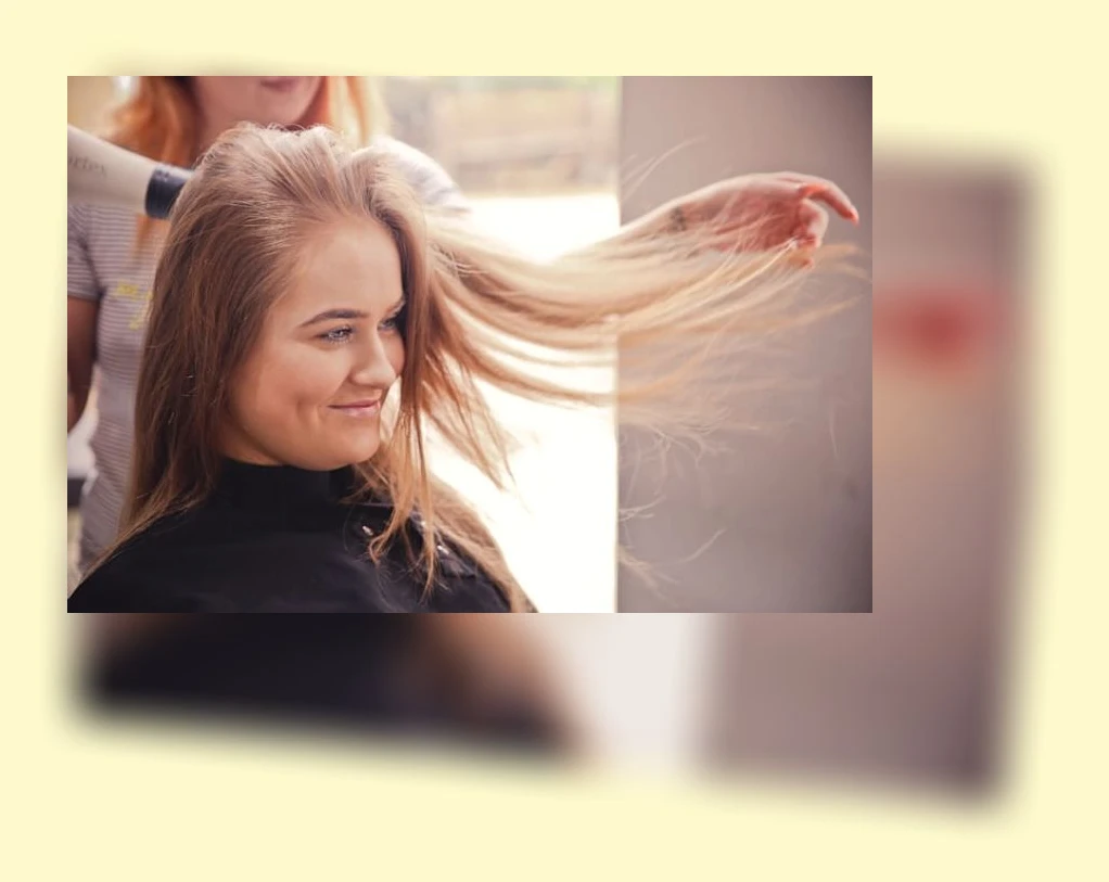 고양이 샴푸 선택_2_subsection