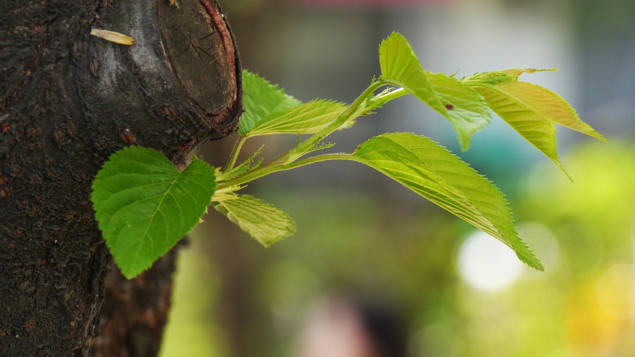 전라도 여행지 추천 BEST 10