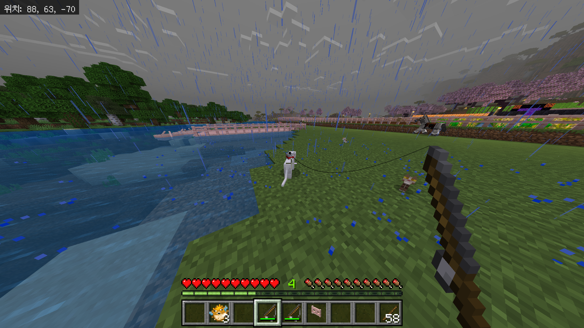 고양이를 찾고 길들이는 방법