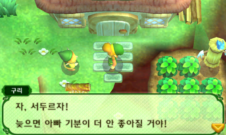 닌텐도 3DS 정발판