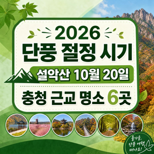 2026 단풍 절정 시기 산림청 예측 설악산 10월 20일 속리산 10월 28일 내장산 11월 4일 대전 충청 근교 단풍 명소