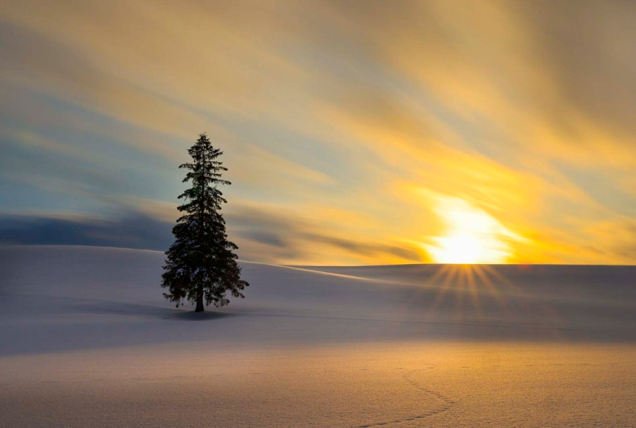 겨울에 방문하기 좋은 일본 여행지 BEST 4(삿포로 &middot; 교토 &middot; 후쿠오카 &middot; 나가노)