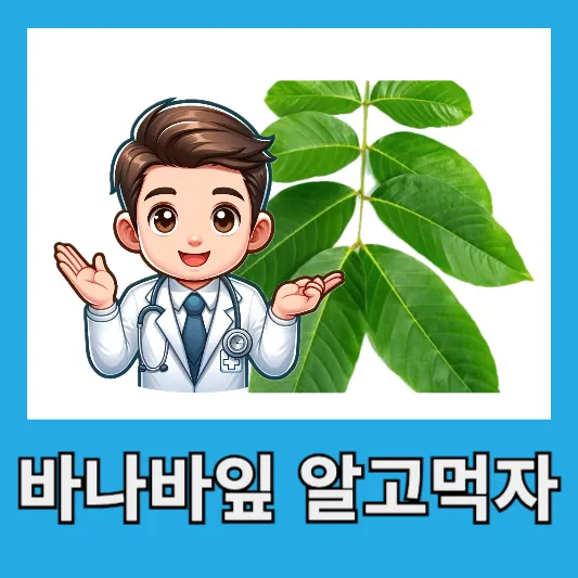 "바나바잎 알고먹자"
