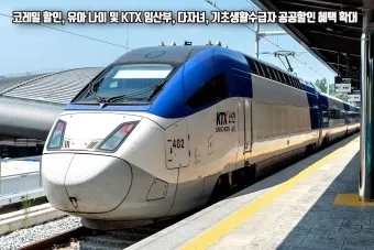 레츠코레일 회원 가입 방법_7