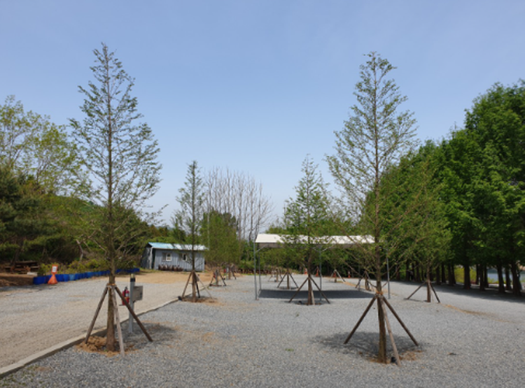 청풍호반 오토캠핑장