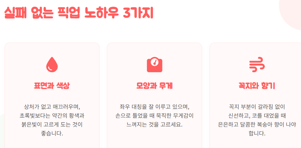 신비 복숭아 수확시기