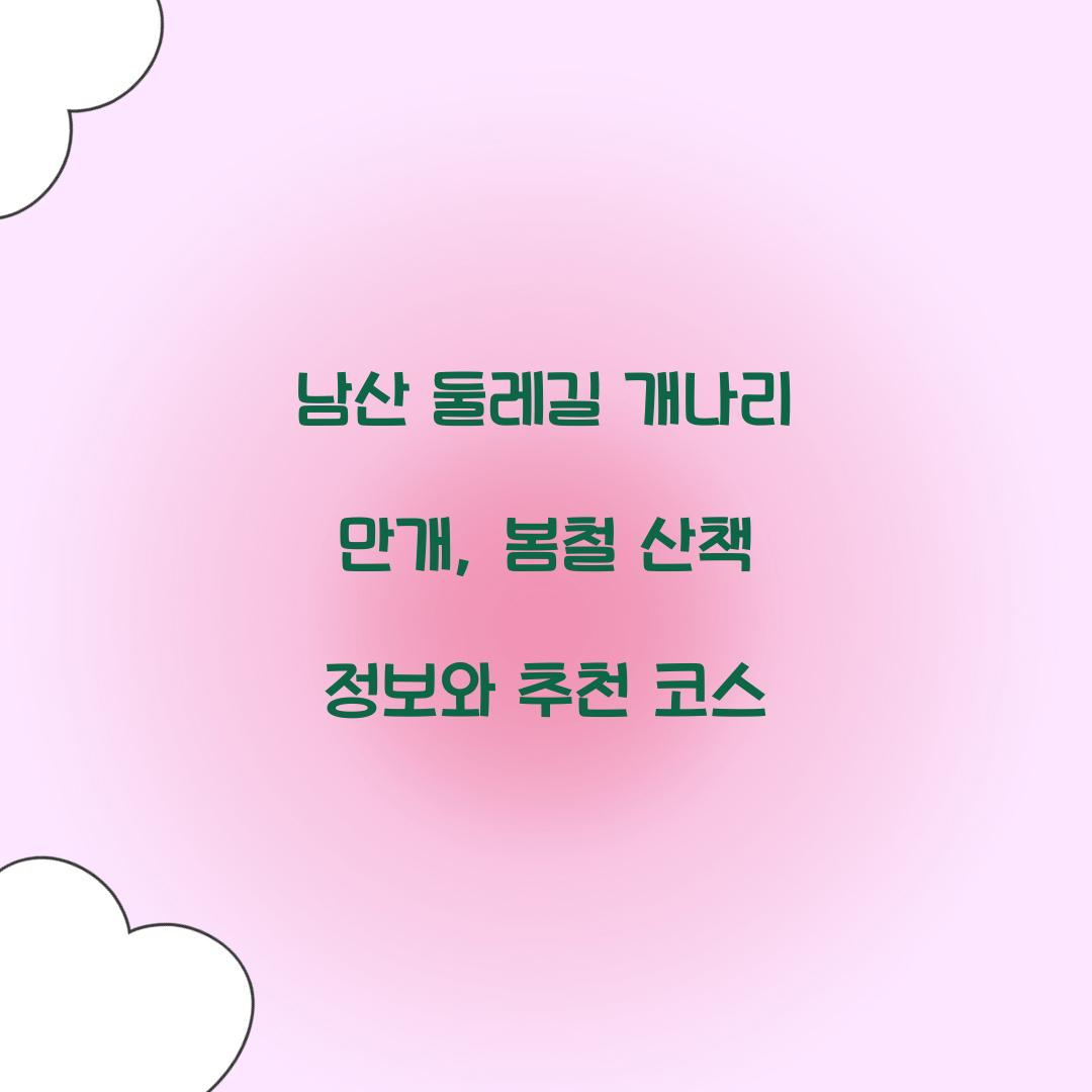 남산 둘레길 개나리