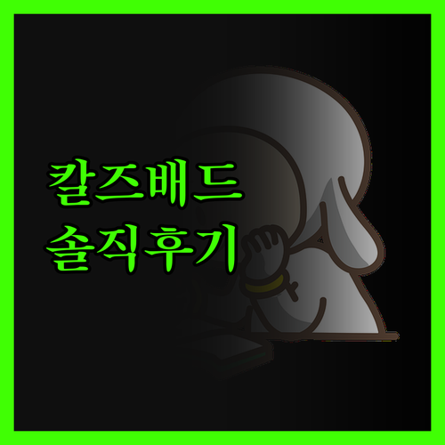 칼즈배드 스파 호텔, 솔직 후기! 영