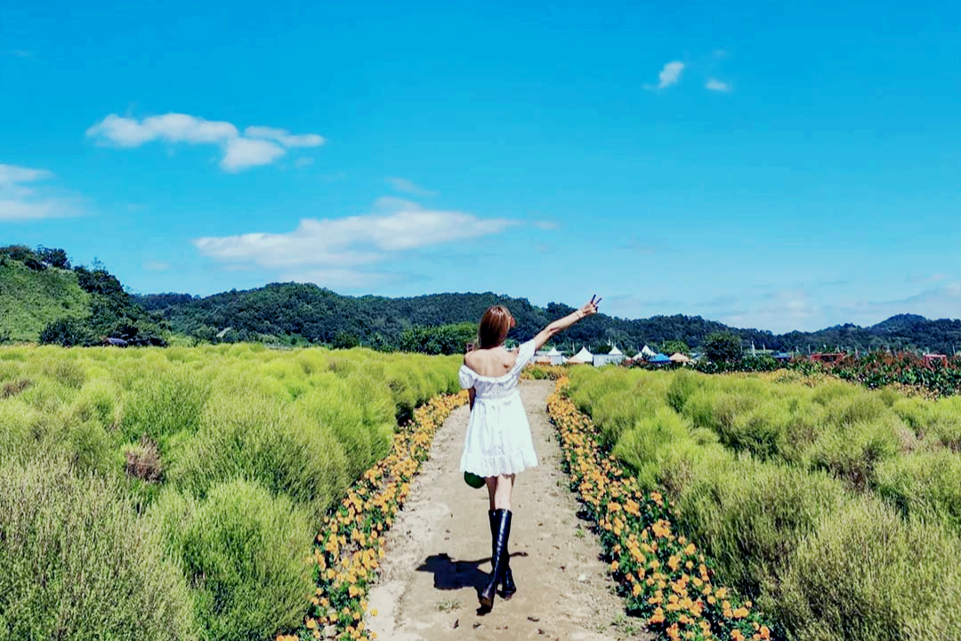 연천 가볼만한곳 베스트 10