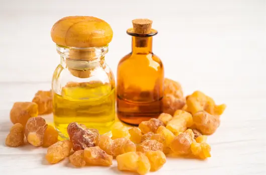 보스웰리아 효능 및 복용시 주의점