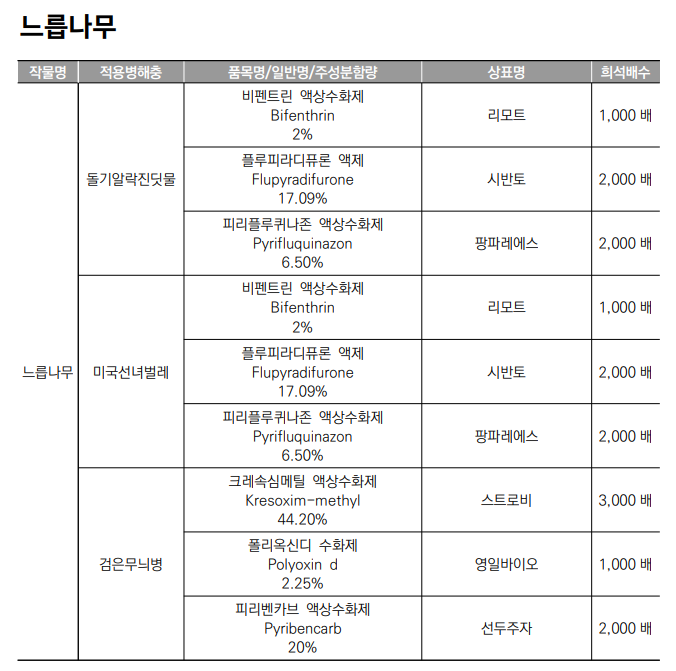 느릅나무