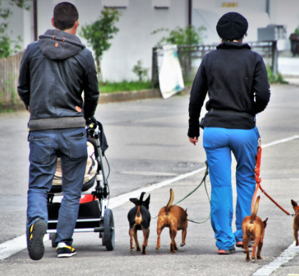 휴대용 유모차가 적합한 경우(여행용, 세컨용, 단기 외출) 관련 사진