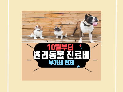 10월부터 반려동물 진료비 부가세 면제