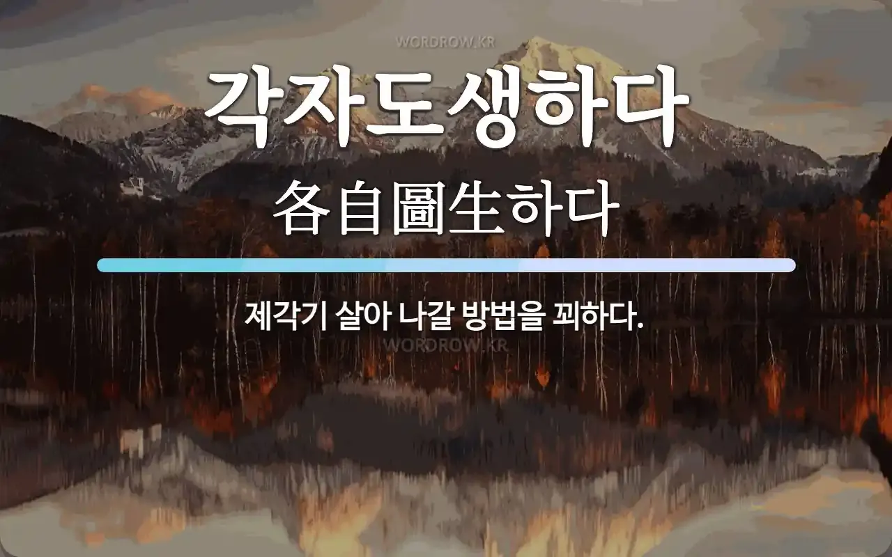 각자도생 뜻 유래 한자 비슷한 말 예문 영어 속담 반대말_6