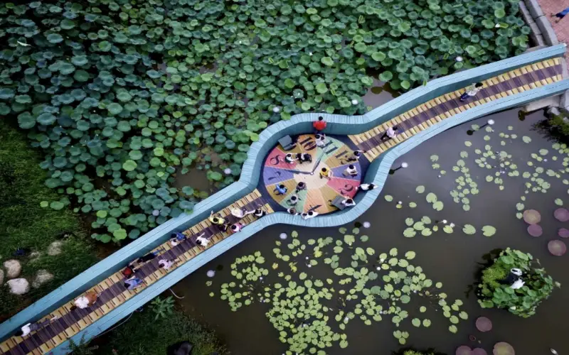 무안 연꽃축제_16