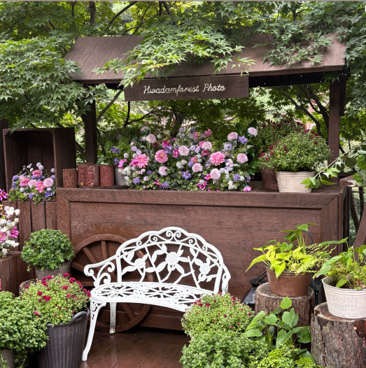 화담숲 예매 방법 주의사항