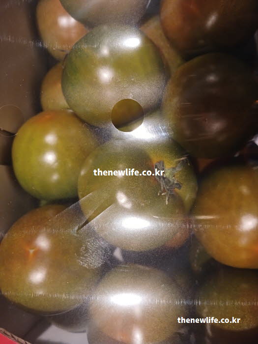 흑토마토 효능의 안토시아닌 성분이 외부 방어력을 높여 면역력 증진을 돕는 실사진