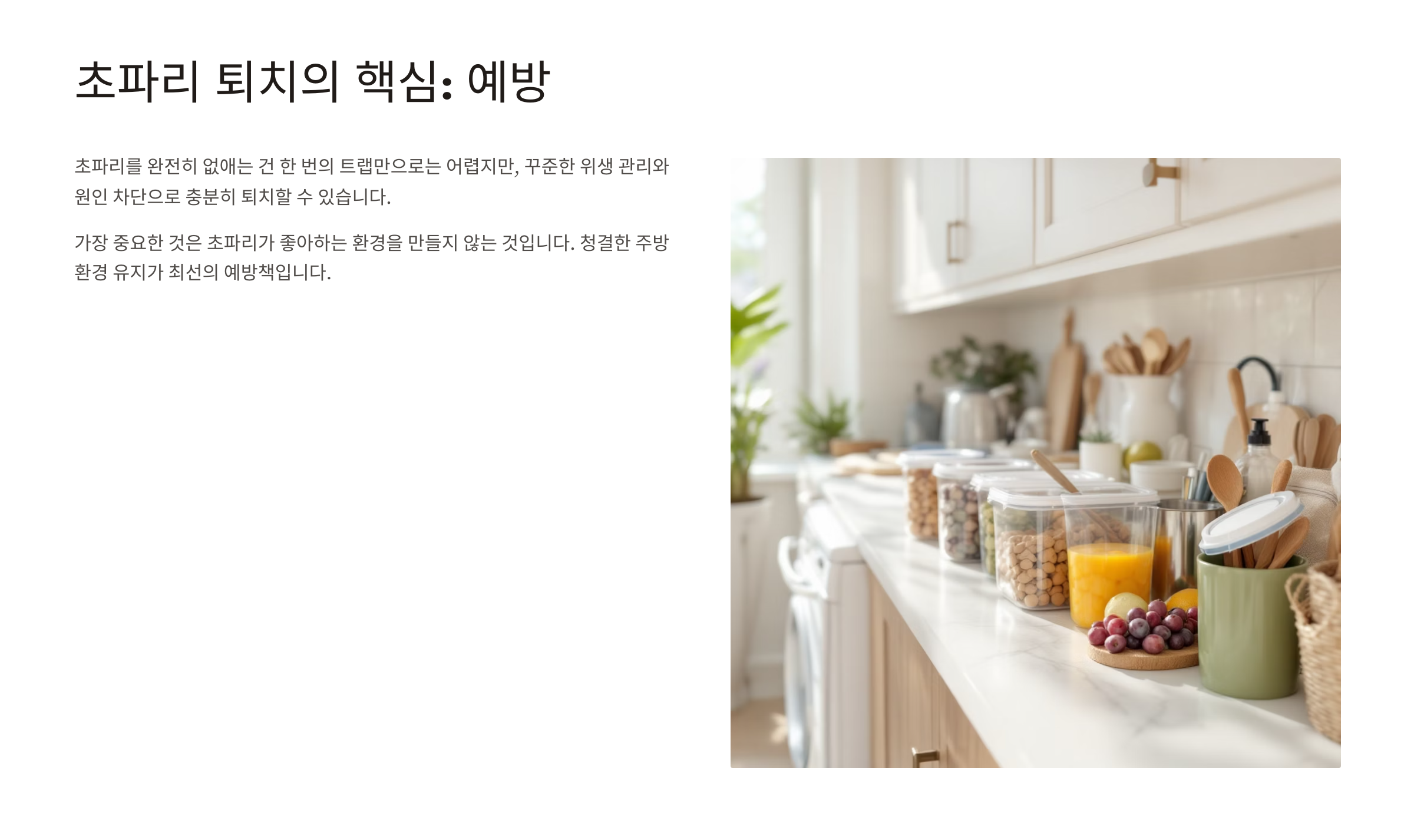 초파리 없애는 방법