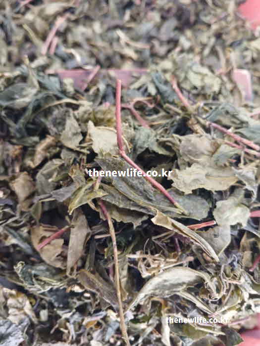 고지혈증 좋은 음식 차 녹차