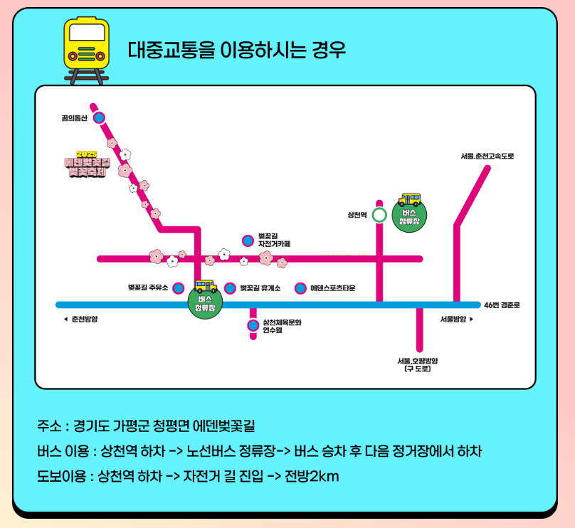 에덴벚꽃길 벚꽃 축제