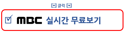 공중파 TV 중계 실시간 무료 보기