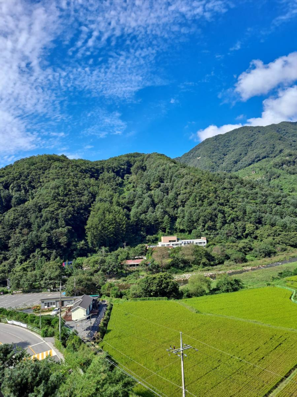 필그림하우스 바깥 풍경