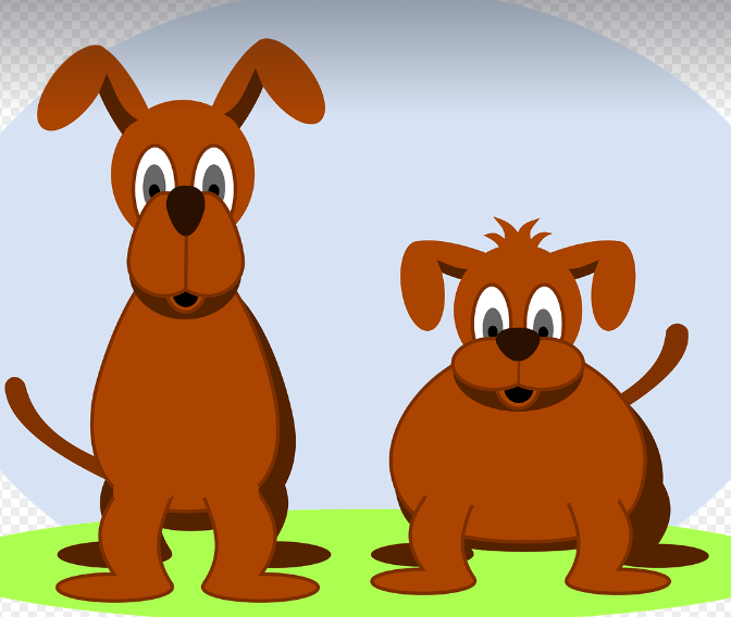 똥꿈 해몽 풀이