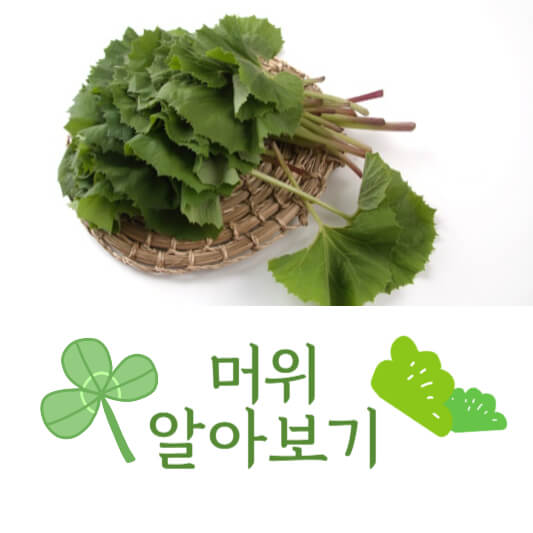 머위