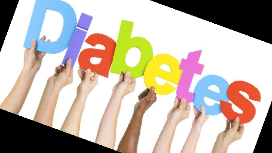 콤부차 효능 부작용 이디아 콤부차