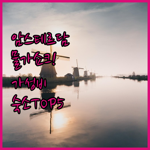 살인적인 암스테르담 물가 속 나만 알..