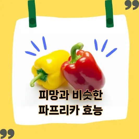 파프리카