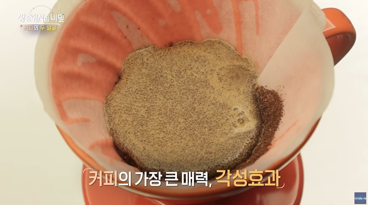 생로병사의비밀 건강하게커피마시기 각성효과 카페인 아데노신 카와웰 항암효과 당뇨병 항산화력