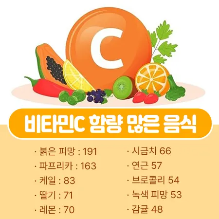 비타민C 함량 많은 음식