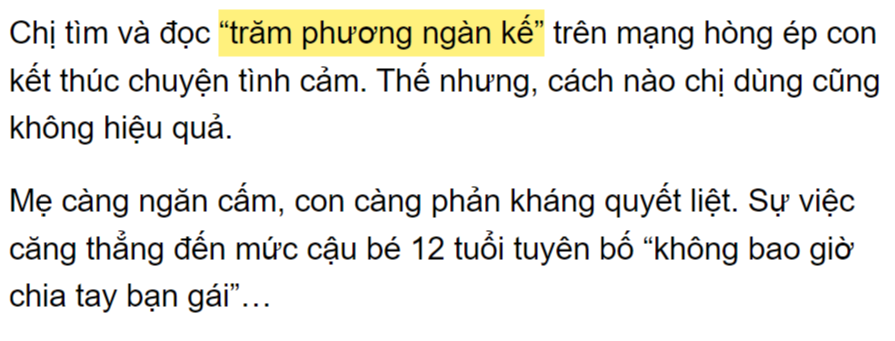 (풀이된) "밧 프엉 티엔 께"를 인용한 기사 2