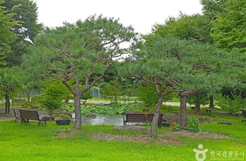 곡성 가볼만한곳 베스트 10