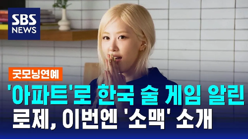 로제 하이트 진로 참이슬 오리지널 넣은 소주 넣은 맥주 소맥 소개