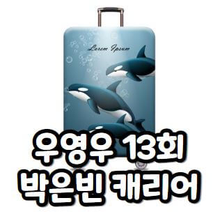 우영우 캐리어