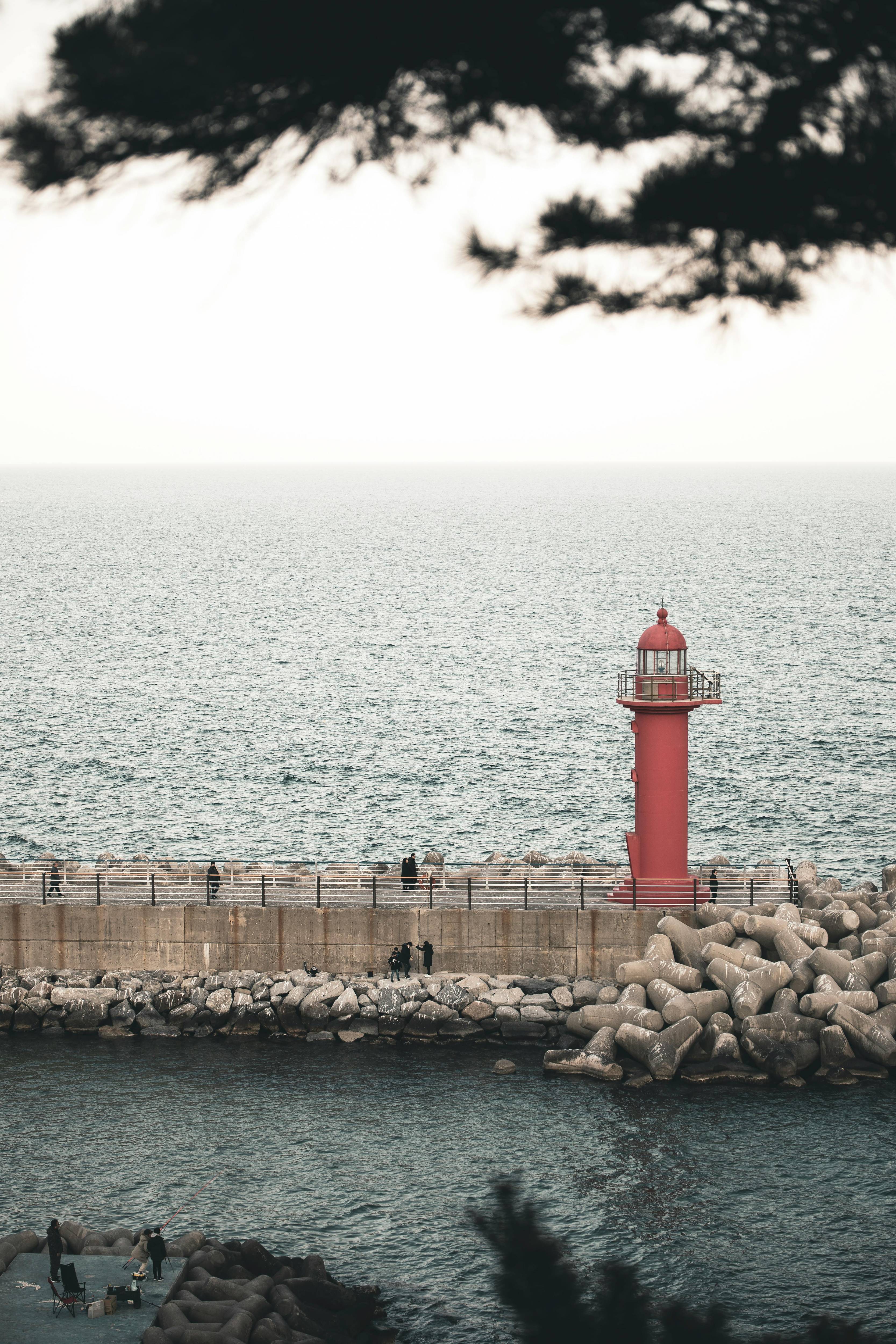 강릉시 모습들 이미지