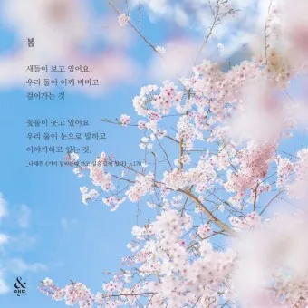 봄 시 모음 이해인 나태주 명시 모음_2