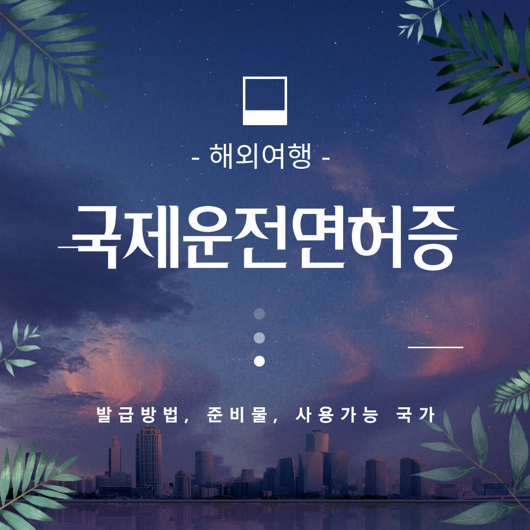 해외여행 국제운전면허증 발급방법(당일발급&#44; 준비물&#44; 수수료&#44; 유의사항&#44; 사용가능 국가)