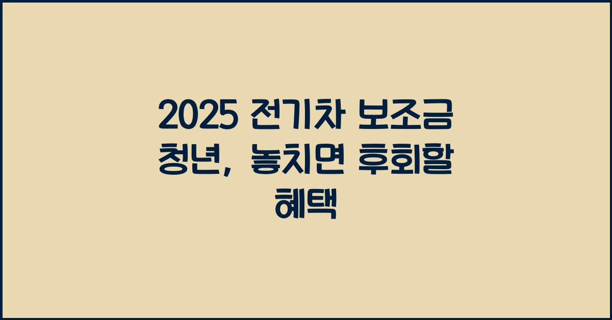 2025 전기차 보조금 청년