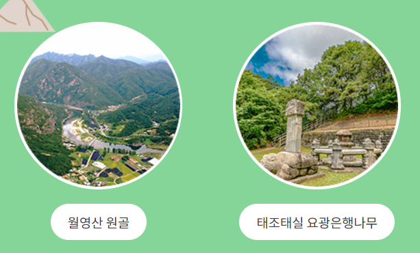 금산자연휴양림 2025 방문 가이드 | 예약·체험·주변 여행 코스