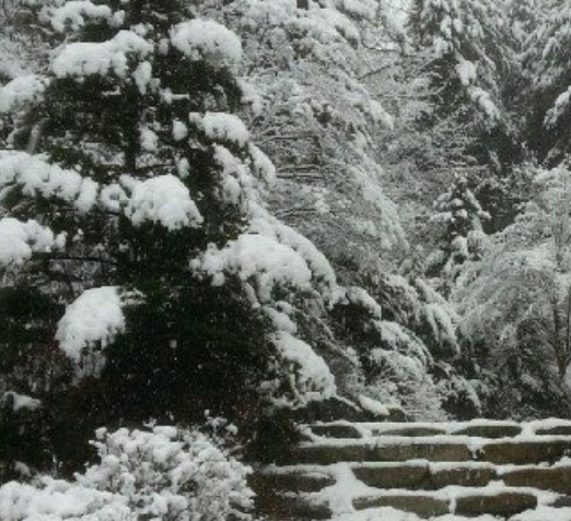 서운산 자연휴양림 숲나들e 국내 여행지 추천 관련사진