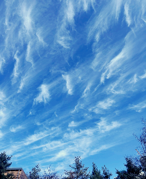 육아 중 무기력한 이유 3가지