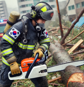 소나무 절단중인 소방관 사진