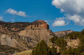 2025년 국민연금 요율 물가상승률