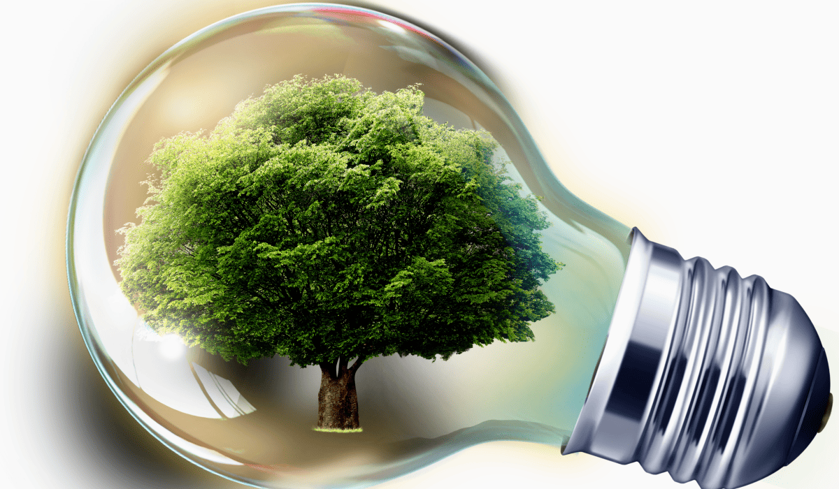 한전에너지캐시백신청_1