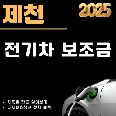 썸네일_제천 전기차 보조금 2025년 현황 조회 (테슬라 모델Y, 모델3, EV4, EV6, EV9, 아이오닉5)