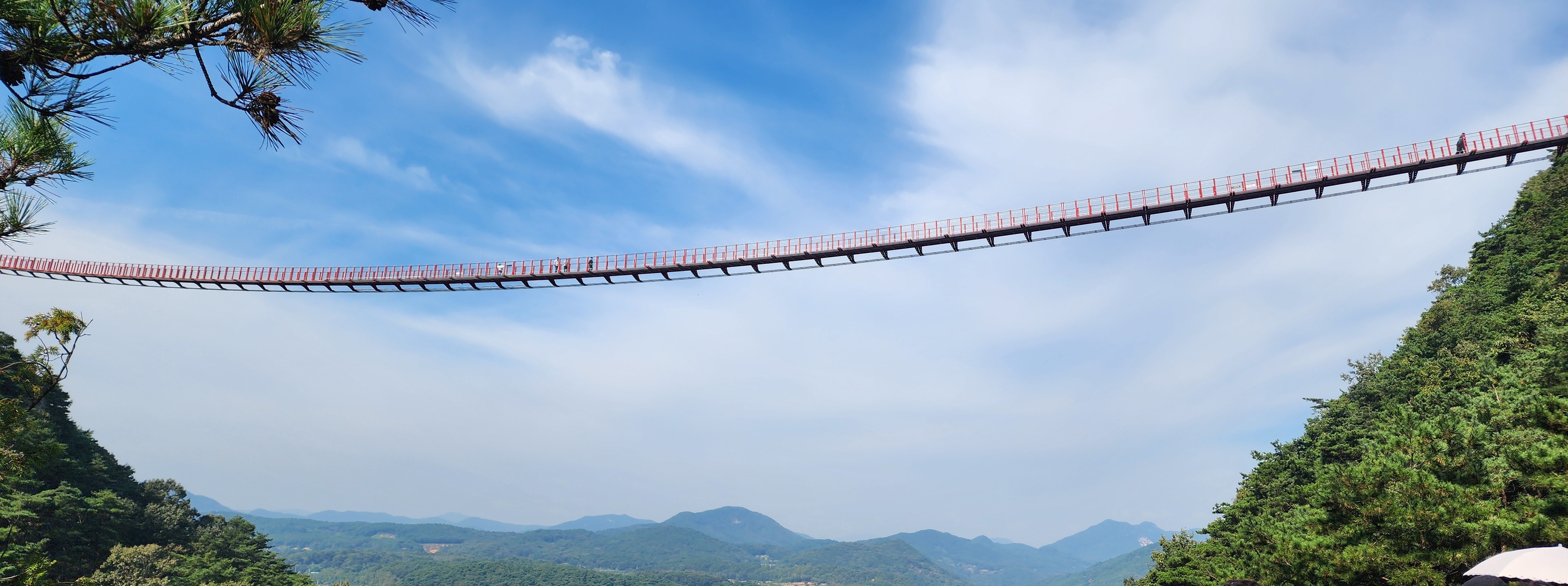 채계산 출렁다리